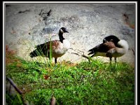 p20655d-Michael S Davis