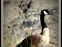 p20655e-Michael S Davis