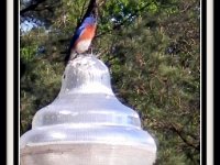 p23870c-Michael S Davis