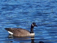 C360 2012-03-10-16-21-43a