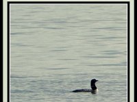 p20015a-Michael S Davis