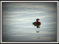 p20030a-Michael S Davis