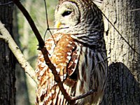 p22570d-Michael S Davis