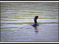 p20410c-Michael S Davis