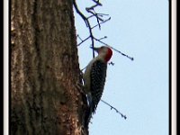 p22880e-Michael S Davis