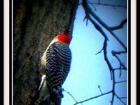 p22880f-Michael S Davis