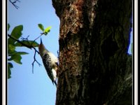 p22880g-Michael S Davis