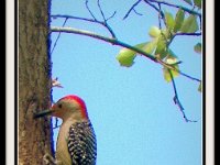 p22880i-Michael S Davis